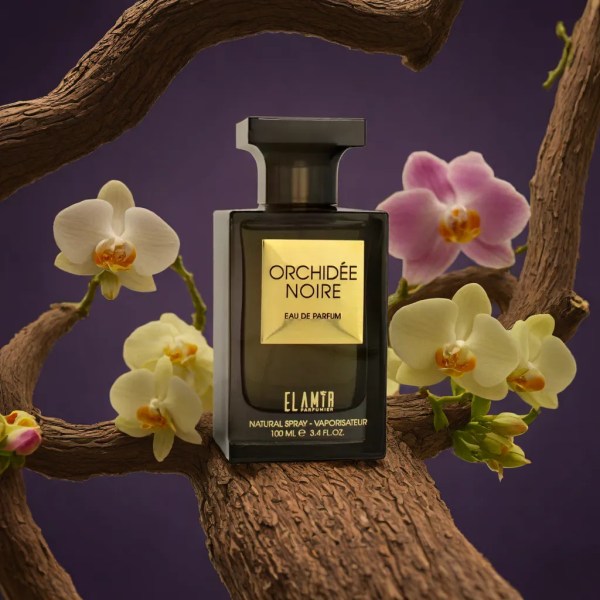 Orchidée Noire — Eau de Parfum EL AMIR 100 ml — photo produit officielle EL AMIR
